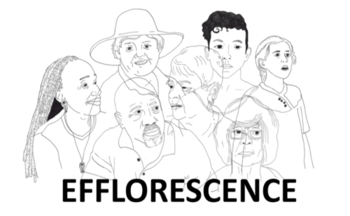 efflorescence